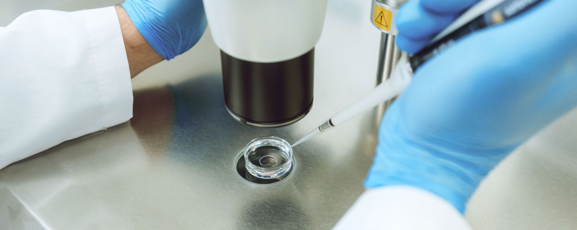 Mikroskop mit Pipette