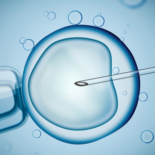 An illustration of a large cell with a fine needle approaching it, symbolizing a scientific process, possibly related to cell injection or in vitro fertilization. Soft blue background with bubbles enhances the focus on the cell and the needle.