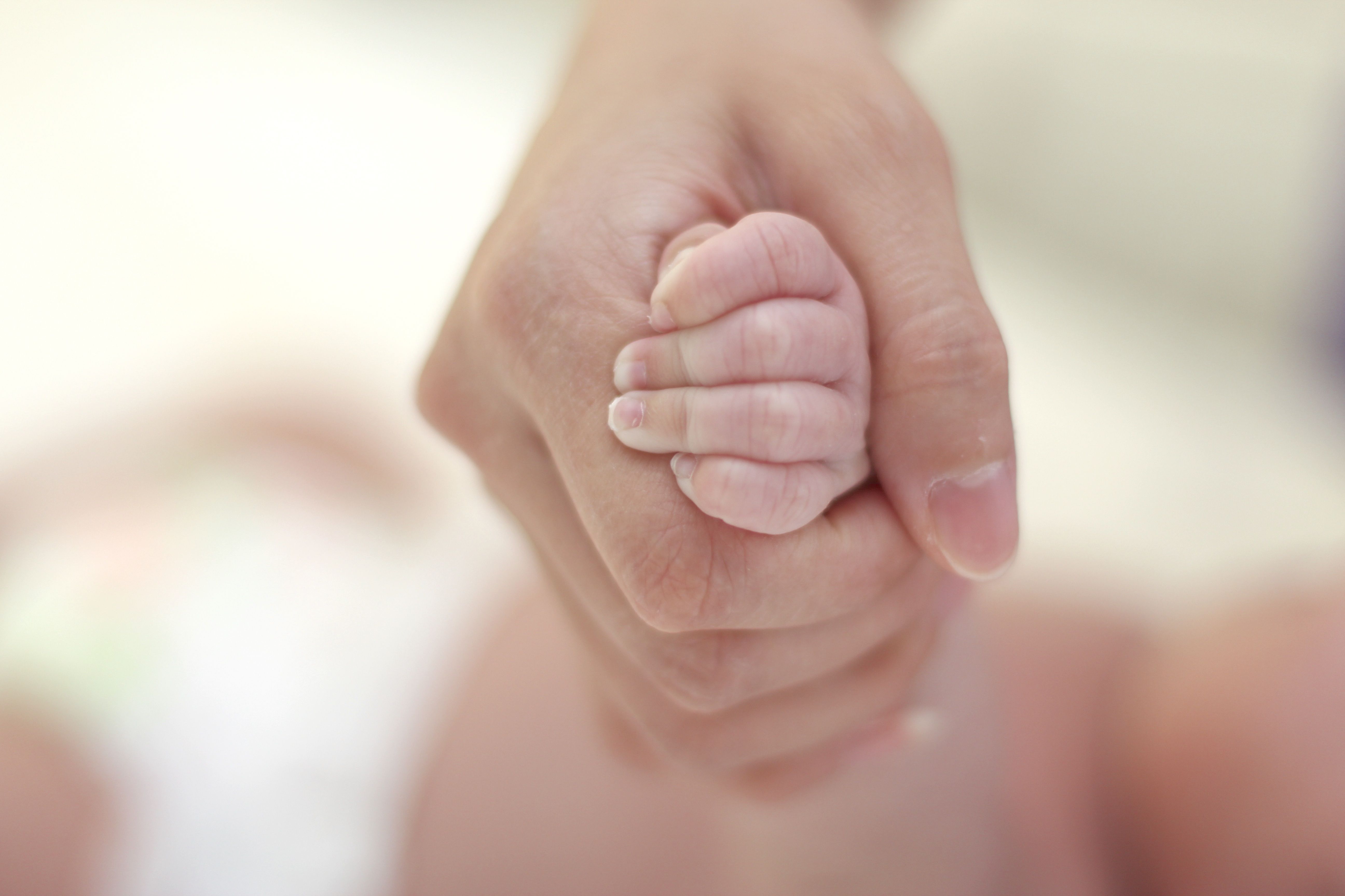 Ein Erwachsener hält sanft die Hand eines Babys. Die kleinen Finger des Babys umschließen die Finger des Erwachsenen, was eine emotionale Verbindung und Schutz symbolisiert.