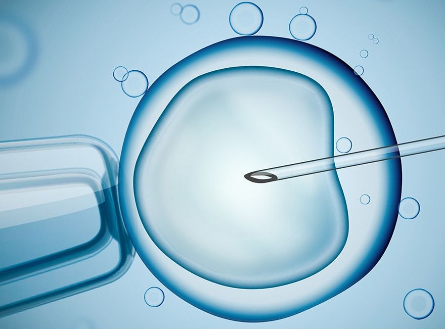 Eine grafische Darstellung eines menschlichen Eizellens mit einer Spritze, die in sie eindringt. Die Eizelle ist rund und transparent, umgeben von kreisförmigen Blasen. Die Umgebung hat einen blauen Farbton, der eine wissenschaftliche oder medizinische Atmosphäre vermittelt.