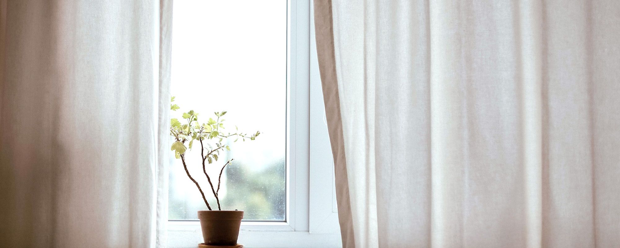 Fenster mit Pflanzen und Vorhängen