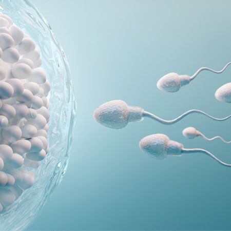 Illustration of a sperm cell approaching a large egg cell, symbolizing fertilization. The sperm appears streamlined and is moving towards the egg, which is depicted with a semi-transparent outer layer. The background is a soft gradient, enhancing the focus on the reproductive cells.