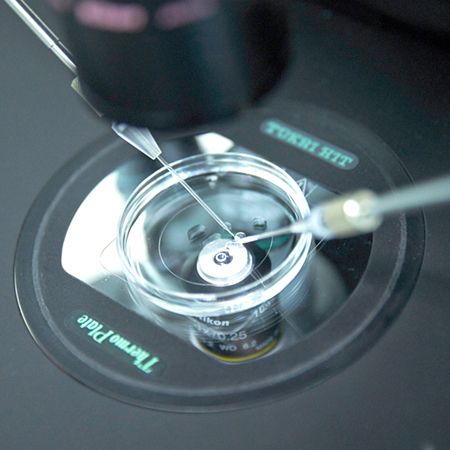 A laboratory setting features a microscope above a petri dish. A pipette is poised to introduce a sample into the dish, demonstrating a precise scientific process. The background is muted, focusing attention on the equipment and the delicate task at hand.